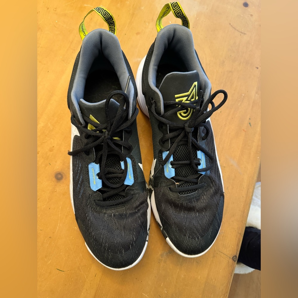 Nike Giannis Basketball shoes